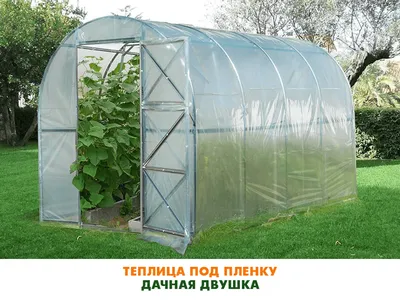 Теплица Дачная Двушка под пленку, ширина 2м - купить у производителя |  АЙГРЯДКИ! | ОЦИНКОВАННЫЕ ГРЯДКИ