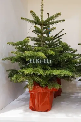 Искусственная елка «Датская» Люкс 1,2м | Ёлка-НН
