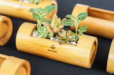 В продаже 🚩 Комплект из двух настенных вееров из бамбука Moya бежевого  цвета — купить по цене 1884.0 руб в Москве | Комплект из 2 вееров настенных  Из бамбука 35x35 см Moya