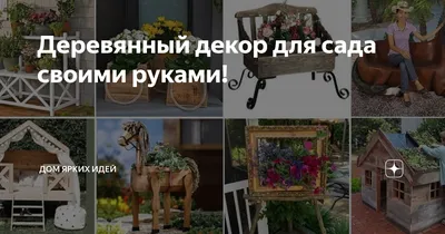 7 интересных идей для дачи и сада, которые можно воплотить своими руками -  Дом Mail.ru