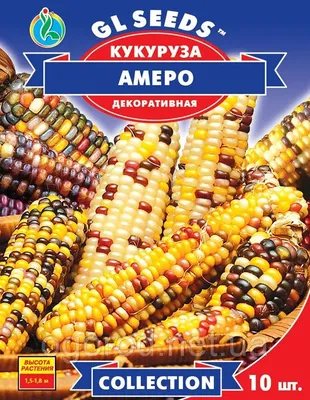 Детская грядка\": Кукуруза декоративная Земляничная поляна - «Пример  удачного маркетинга» | отзывы