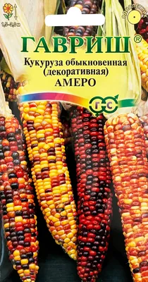 Сорта разноцветной кукурузы, и где ее используют - Agro-Market