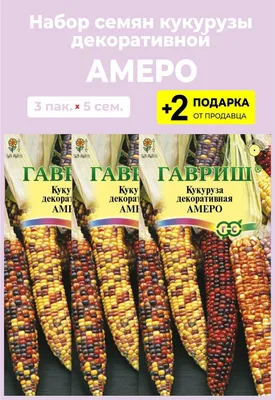Декоративная кукуруза