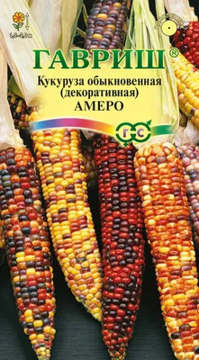 ✓ Семена Кукуруза декоративная Амеро, 5шт, Гавриш, Цветочная коллекция по  цене 30 руб. ◈ Большой выбор ◈ Купить по всей России ✓ Интернет-магазин  Гавриш ☎ 8-495-902-77-18