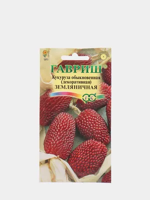 Селекция, сушка семян и декоративная кукуруза