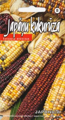 Мультяшная кукла-кукуруза, декоративная подушка для дивана, декоративная  милая плюшевая Набивная игрушка на молнии для детей, постельное белье для  путешествий | AliExpress
