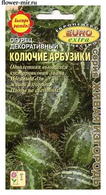 Купить семена: Огурец декоративный Усатый полосатый - цены,фото,отзывы |  Green-Club.com.ua