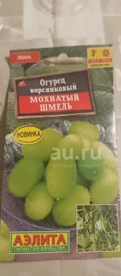 Григорьев Семена Огурец Сарацин (корнишон) Турция 7шт.