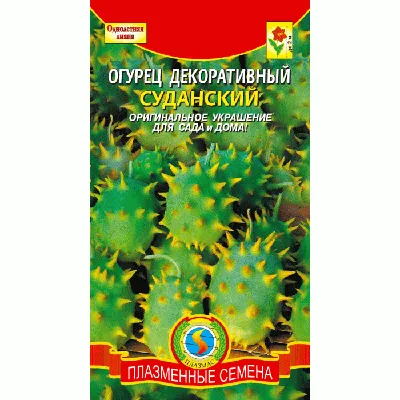 Имитация огурцов моделей кусочков декоративный магазин фото реквизит кухня  искусственная декорация для ресторана | AliExpress