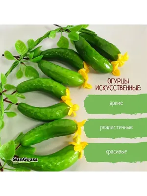 Искусственный муляж огурцы корнишоны/Искусственные цветы для декора/Декор  для дома - купить по низкой цене в интернет-магазине OZON (166069570)
