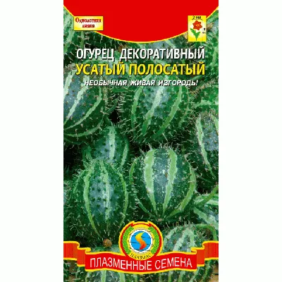 Огурцы и кусочки в декоративных плетеной корзине, сборе, фотографии для  меню, на белом фоне изолированной Стоковое Изображение - изображение  насчитывающей чисто, изолировано: 199665853
