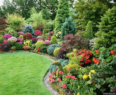 Декоративные растения в вашем саду - купить по выгодной цене | #многобукаф.  Интернет-магазин бумажных книг
