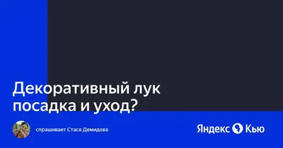 Декоративный лук посадка и уход?» — Яндекс Кью