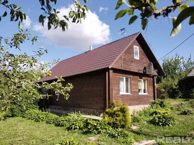 Деревенский Сад Пролейте — стоковые фотографии и другие картинки Сарай -  Сарай, Задний или передний двор, На открытом воздухе - iStock