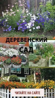 Красивый деревенский сад. Показываю | Дача. Летний уют | Дзен