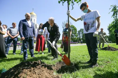 Сад в стиле бонсай - Журнал Хозяин