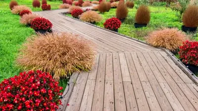 Деревянные рулонные дорожки для сада | Вавио | Архитектура и дизайн
