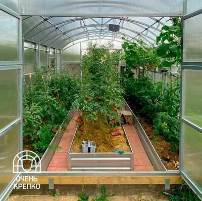 Теплица из закаленного стекла Победа, деревянная теплица, теплицы из  поликарбоната, дуги для теплицы согнуть, дешевые парники из дуг, парники  дуговые, поликарбонат дешево, теплица чертеж сборка, закаленное стекло  купить, заказать замерщика теплицы, сбор -