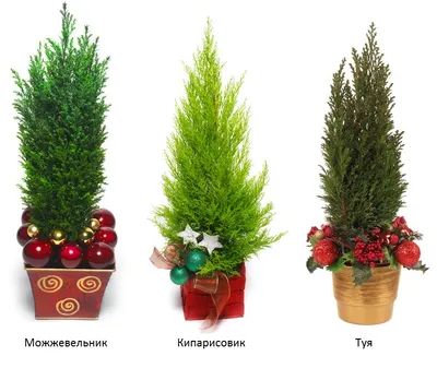 Искусственная ель литая | Купить литую елку от производителя