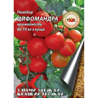 Скороспелые томаты: быстрый и еще быстрее