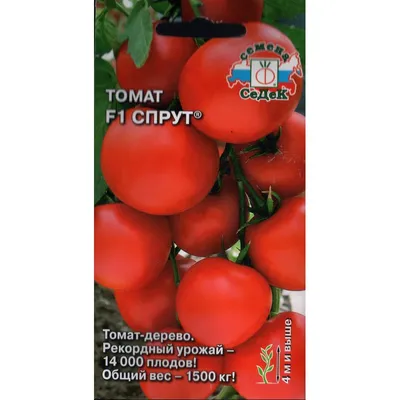 Как сделать шпалеру для помидор - Agro-market