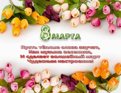 Всех женщин ресурса (таковых, кстати, немало) поздравляю с 8 Марта! :)  [ФОТО] / news2.ru