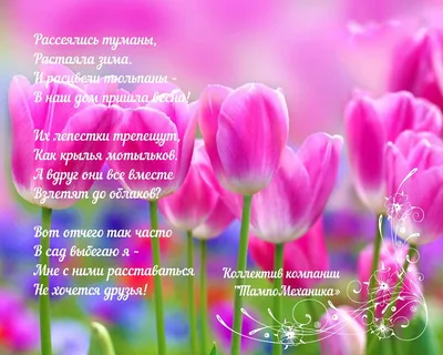 Дорогие женщины, поздравляем Вас с 8 марта!
