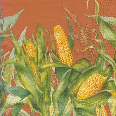 Почему кукуруза не размножается в дикой природе? - ЯПлакалъ