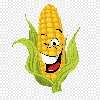 ухо дикой кукурузы в кладовке Стоковое Фото - изображение насчитывающей  урожай, свежесть: 228367298