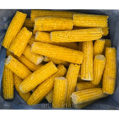 Дикая кукуруза - 64 фото