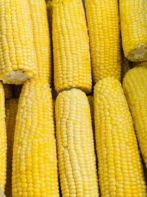 Кукуруза Изолированные Белый - Бесплатное фото на Pixabay - Pixabay