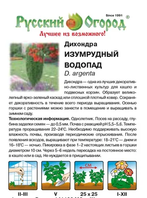 Дихондра серебристая Silver Falls 3 шт семян