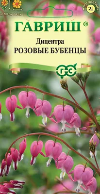 Саженец Дицентра Спектабилис