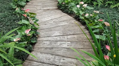 Садовая дорожка Как сделать из гальки Ландшафтный дизайн | GreenPost