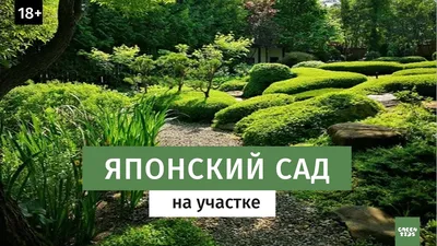 Японский стиль и сад в ландшафтном дизайне - особенности и отличительные  черты