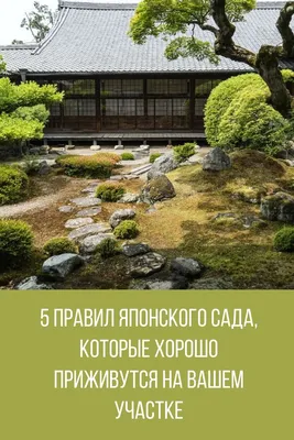 Японский сад: как придать саду стиль и колорит, основные принципы, выбор  растений