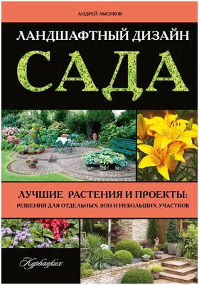 Лучшие идеи ландшафтного дизайна сада | GreenMarket