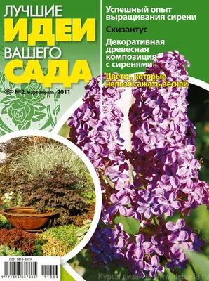 Дизайн участка загородного дома: 50 фото идей, как облагородить и озеленить  своими руками