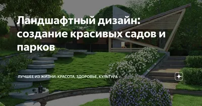 Дизайн участка на склоне: особенности и подходящие растения