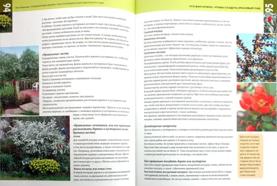 Пин от пользователя Ирина Миз на доске Сад в 2023 г | Растения, Сад, Дизайн  сада