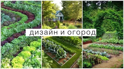 Ландшафтный дизайн сада