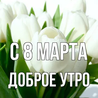 Доброе утро 8 марта картинки фотографии