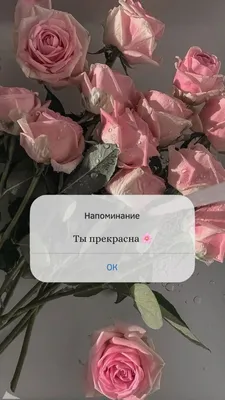 Доброе утро вторника 8 Марта! -26 - обсуждение на форуме e1.ru
