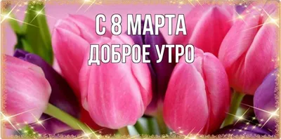 Mary Flowers Aspromonte - Всем доброе утро ☀️ Только пришли в себя после  прекрасного праздника 🌷8 Марта🌷 Дорогие девушки, женщины❤️ хотим пожелать  вам жить в гармонии с собой,добиваться всех поставленных целей, любить
