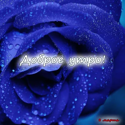 Картинка: С 8 марта! Любви и удачи!