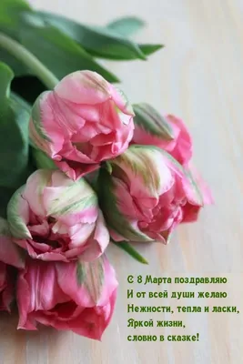 Доброе утро Уфа! За окном снегопад, а на душе весна????. Принимаем заказы  на 8 марта.???? Ул. Ветошникова д.131. ☎(347)266-59-77 ????+7 927 236 59  77. Сайт www.bloomboom.ru#flowers#доставкацветовуфа#цветыуфа#цветы#уфа |  Bloom Boom