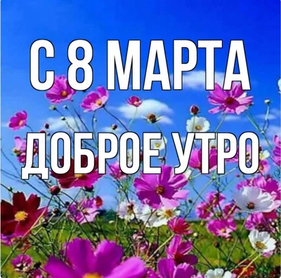 https://lite.telegraf.com.ua/lite/2024-03-06/5838024-dobroe-utro-khoroshego-dnya-milye-vesennie-otkrytki-i-kartinki-dlya-blizkikh-i-druzey
