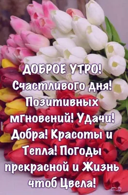 Доброе Утро Картинки Фото | TikTok