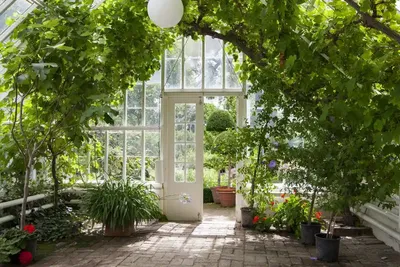 Дом с нулевым потреблением энергии Octagon Green House