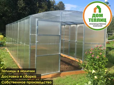 В Тюменском районе построили теплицу для выращивания саженцев хвойных пород  - Новости Тюменского муниципального района
